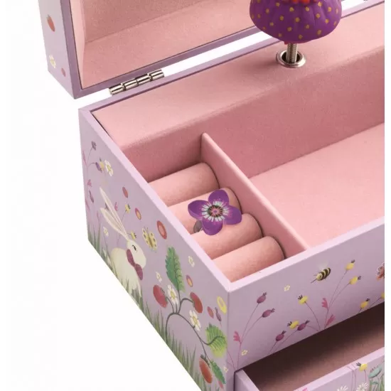 Cutie muzicala Printesa Djeco