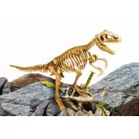 Experimentele micului geniu - Kit paleontologie T-Rex