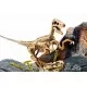 Experimentele micului geniu - Kit paleontologie Velociraptor Experimentele micului geniu - Kit paleontologie Velociraptor