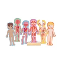 Puzzle magnetic pentru copii, Corpul uman, Hape, 68 piese
