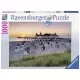 Puzzle MAREA BALTICA AHLBECK, USEDOM 1000 piese Puzzle MAREA BALTICA AHLBECK, USEDOM 1000 piese