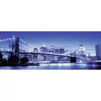 Puzzle MINUNATUL NEW YORK 1000 piese