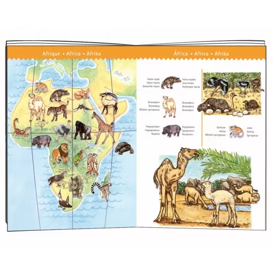 Puzzle observatie Djeco Animalele lumii