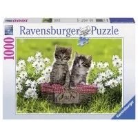 PUZZLE PISICUTE IN COSULET, 1000 PIESE