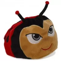 Set accesorii deghizare Buburuza