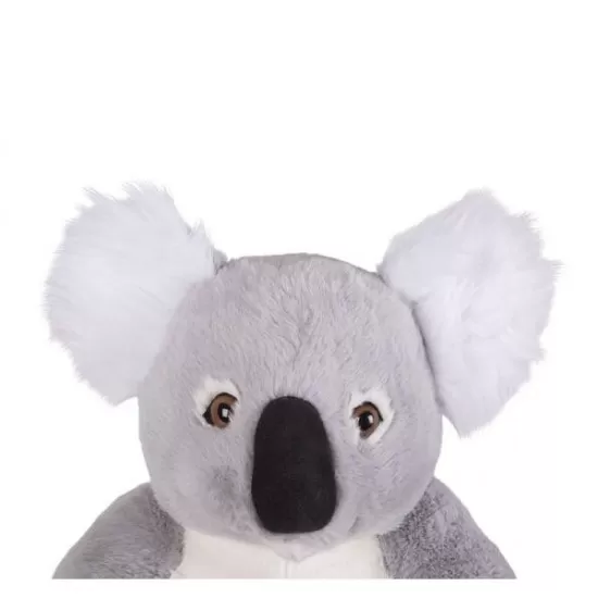 Koala gigant din plus Koala gigant din plus