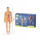 Set educativ model anatomic corpul uman 3D