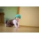 Casca protectie bebelusi cu spuma flexibila, ultrausoara, reglabila, 7-24 luni, albastra, SafeHead Baby Owl Casca protectie bebelusi cu spuma flexibila, ultrausoara, reglabila, 7-24 luni, albastra, SafeHead Baby Owl