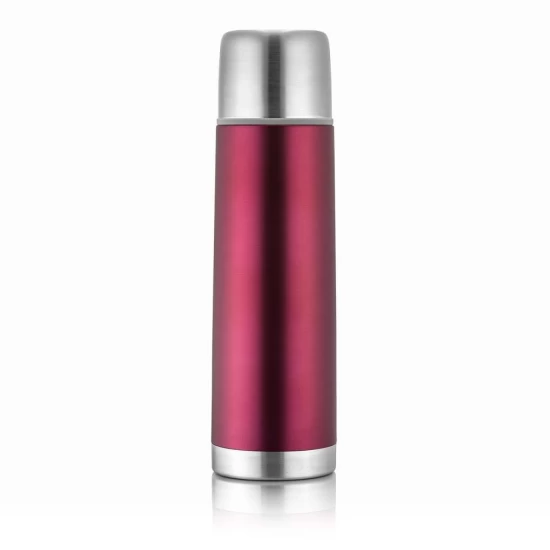 Sticla termos din otel inoxidabil vidat ColourDesign, 450 ml, rosu, Reer 90504 Sticla termos din otel inoxidabil vidat ColourDesign, 450 ml, rosu, Reer 90504