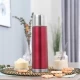 Sticla termos din otel inoxidabil vidat ColourDesign, 450 ml, rosu, Reer 90504 Sticla termos din otel inoxidabil vidat ColourDesign, 450 ml, rosu, Reer 90504