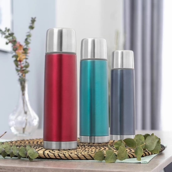 Sticla termos din otel inoxidabil vidat cu capac Colour, 450 ml, gri, Reer 90501 Sticla termos din otel inoxidabil vidat cu capac Colour, 450 ml, gri, Reer 90501