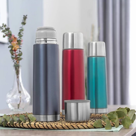 Sticla termos din otel inoxidabil vidat cu capac Colour, 450 ml, gri, Reer 90501 Sticla termos din otel inoxidabil vidat cu capac Colour, 450 ml, gri, Reer 90501
