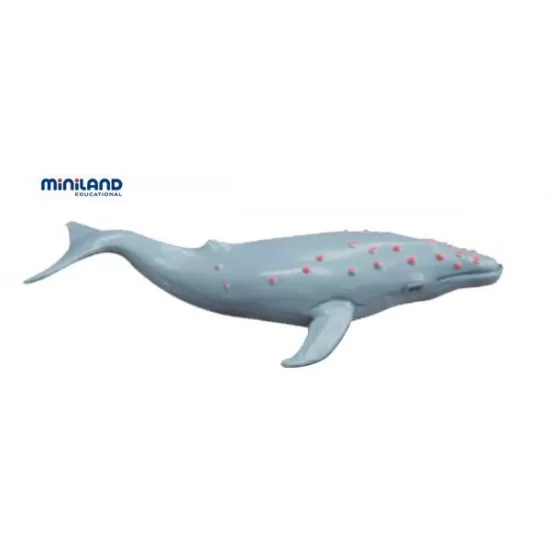 Set 8 figurine animale marine - Miniland Set 8 figurine animale marine - Miniland