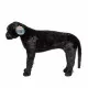 Catel Labrador Negru gigant din plus Melissa & Doug Catel Labrador Negru gigant din plus Melissa & Doug