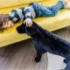 Catel Labrador Negru gigant din plus Melissa & Doug Catel Labrador Negru gigant din plus Melissa & Doug
