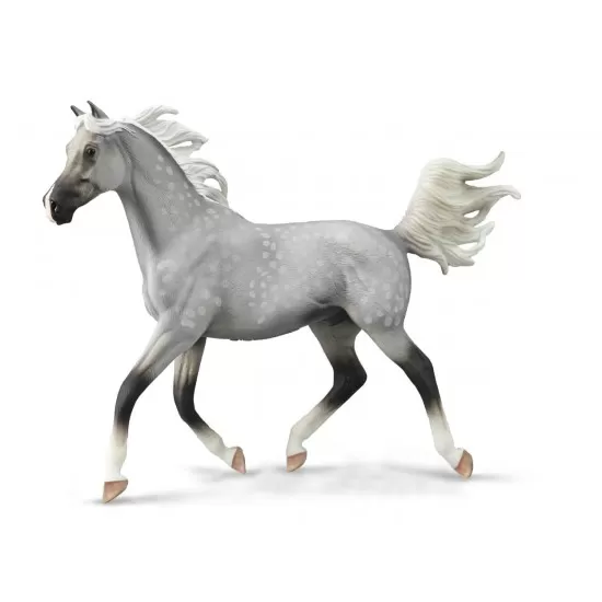 Figurina pictata manual armasar Half Arabian Dappled Gri 25 cm Figurina pictata manual armasar Half Arabian Dappled Gri 25 cm