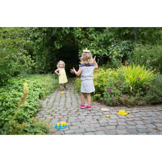Joc de echilibru Bird Race Joc de echilibru Bird Race