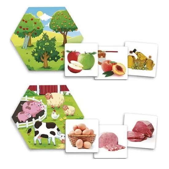 Joc pentru dezvoltarea cunostintelor despre natura - De unde provin alimentele? Joc pentru dezvoltarea cunostintelor despre natura - De unde provin alimentele?