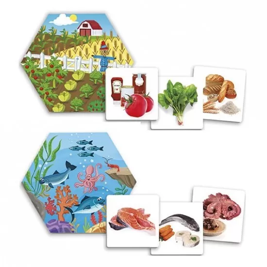 Joc pentru dezvoltarea cunostintelor despre natura - De unde provin alimentele? Joc pentru dezvoltarea cunostintelor despre natura - De unde provin alimentele?