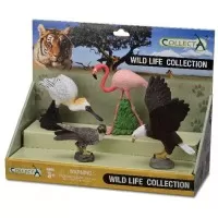 Set 4 figurine pasari exotice Collecta