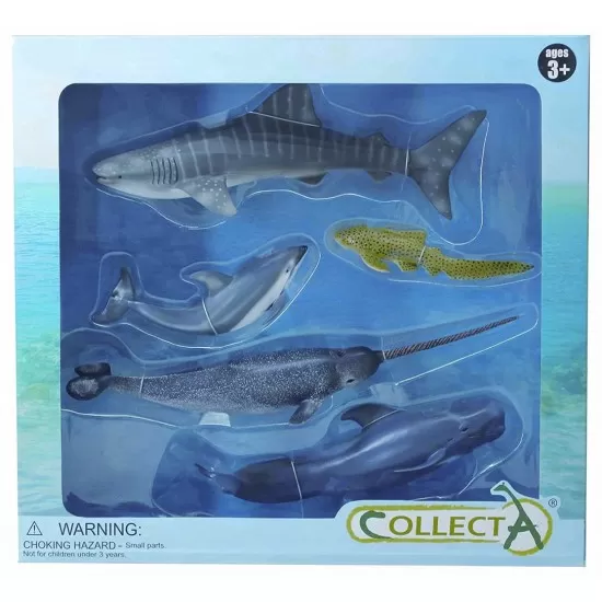 Set 5 figurine Lumea Acvatica Collecta Set 5 figurine Lumea Acvatica Collecta