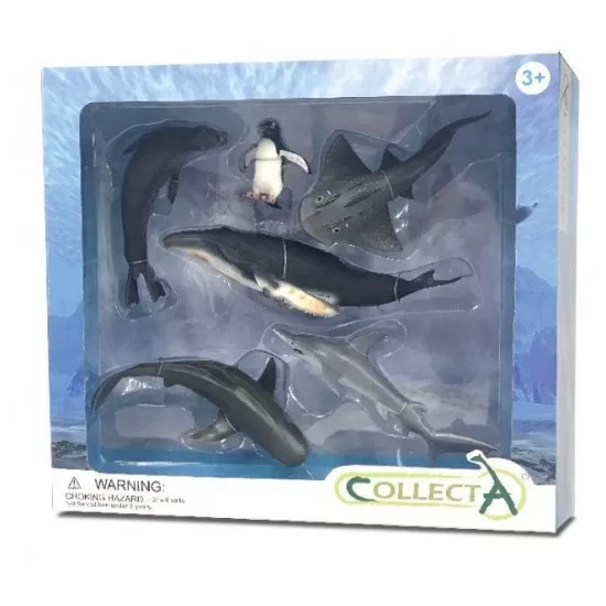 Set 6 figurine Viata Marina - Collecta Set 6 figurine Viata Marina - Collecta