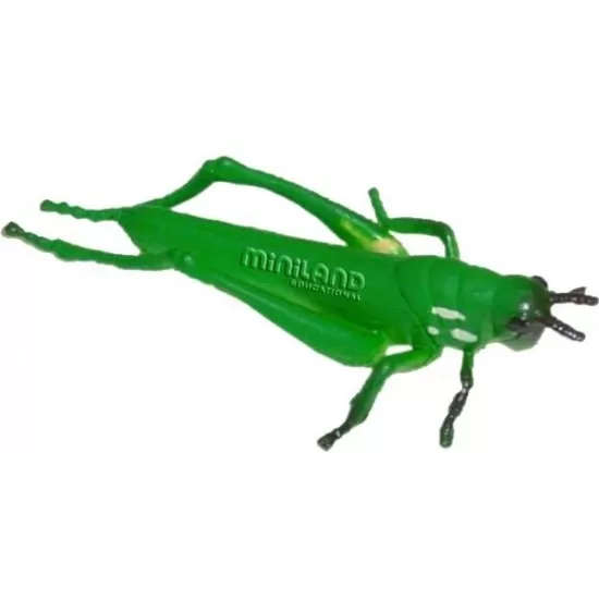 Set 12 figurine Insecte Miniland Set 12 figurine Insecte Miniland