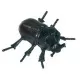 Set 12 figurine Insecte Miniland Set 12 figurine Insecte Miniland