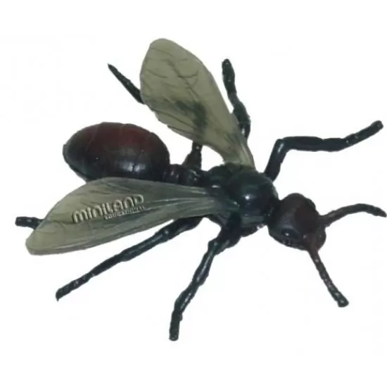 Set 12 figurine Insecte Miniland Set 12 figurine Insecte Miniland