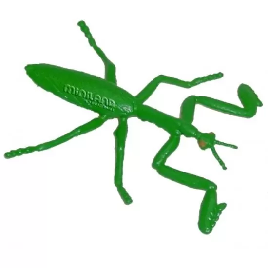 Set 12 figurine Insecte Miniland Set 12 figurine Insecte Miniland