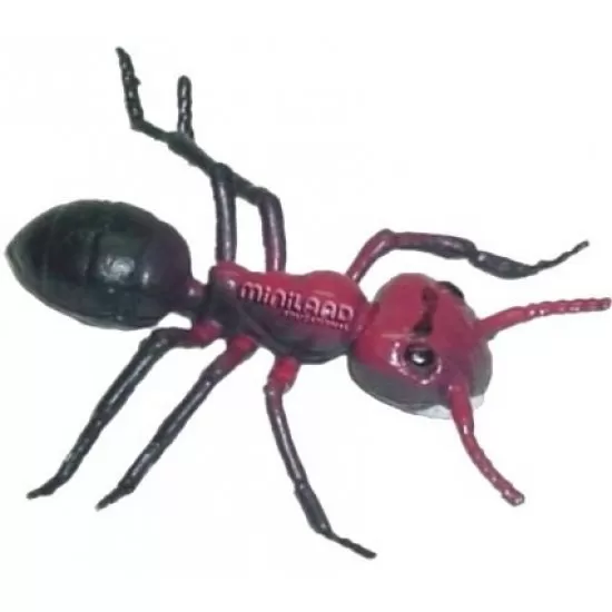 Set 12 figurine Insecte Miniland Set 12 figurine Insecte Miniland