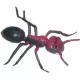 Set 12 figurine Insecte Miniland Set 12 figurine Insecte Miniland