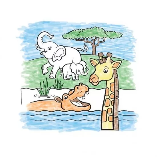 Set de pictura cu apa Safari Melissa and Doug Set de pictura cu apa Safari Melissa and Doug