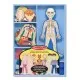 Set magnetic Corpul Uman Melissa and Doug Set magnetic Corpul Uman Melissa and Doug