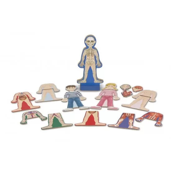 Set magnetic Corpul Uman Melissa and Doug Set magnetic Corpul Uman Melissa and Doug