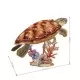 Puzzle 3D testoasa marina 31 piese CubicFun Puzzle 3D testoasa marina 31 piese CubicFun