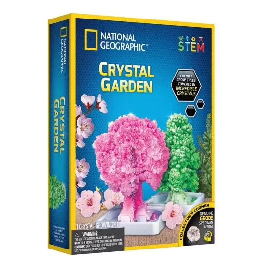 Kit stiinta National Geographic - Gradina de cristale Kit stiinta National Geographic - Gradina de cristale