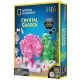 Kit stiinta National Geographic - Gradina de cristale Kit stiinta National Geographic - Gradina de cristale