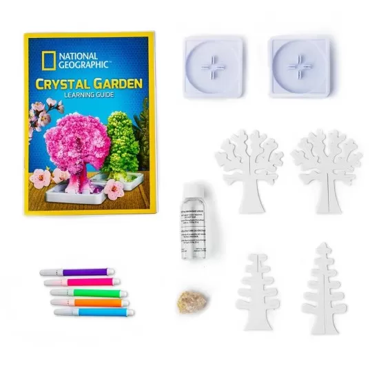 Kit stiinta National Geographic - Gradina de cristale Kit stiinta National Geographic - Gradina de cristale