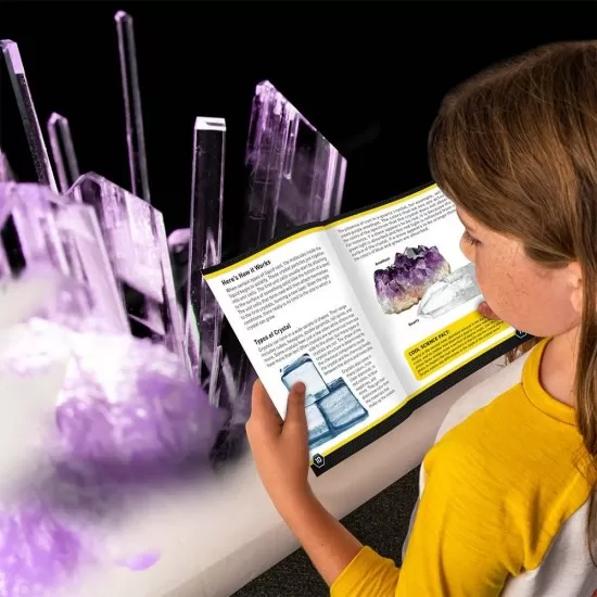 Kit stiinta National Geographic - Laborator de crestere cristale violet Kit stiinta National Geographic - Laborator de crestere cristale violet
