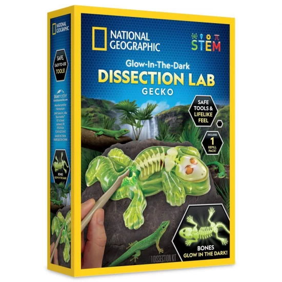Kit fosforescent disectie soparla National Geographic Kit fosforescent disectie soparla National Geographic