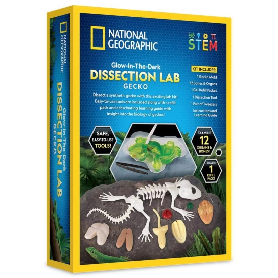 Kit fosforescent disectie soparla National Geographic Kit fosforescent disectie soparla National Geographic