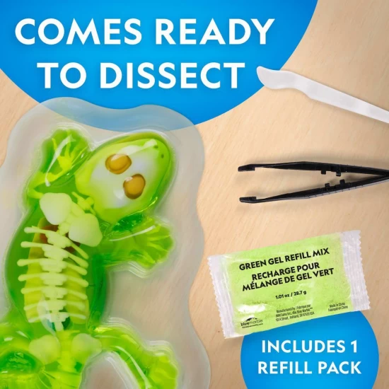 Kit fosforescent disectie soparla National Geographic Kit fosforescent disectie soparla National Geographic