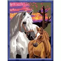 Pictura pe numere Ravensburger - Cai