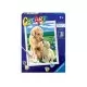 Pictura pe numere Ravensburger - Catel cu pui