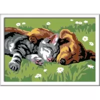 Pictura pe numere Ravensburger - Catelus si pisicuta
