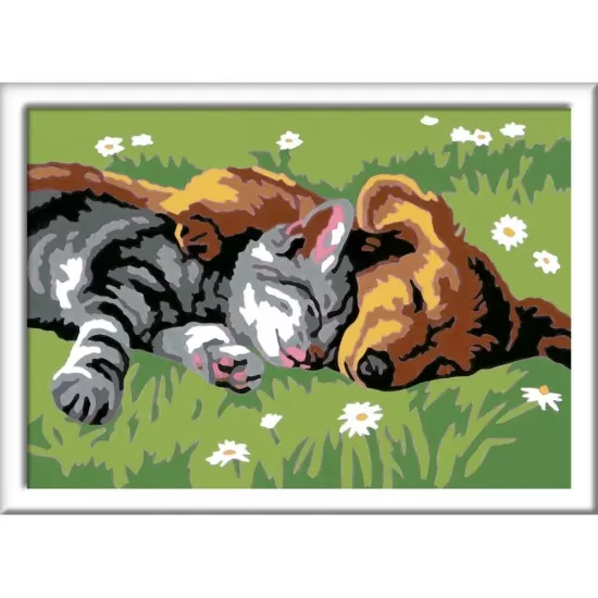 Pictura pe numere Ravensburger - Catelus si pisicuta Pictura pe numere Ravensburger - Catelus si pisicuta