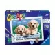 Pictura pe numere catelusi Ravensburger Pictura pe numere catelusi Ravensburger