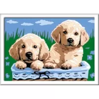 Pictura pe numere catelusi Ravensburger