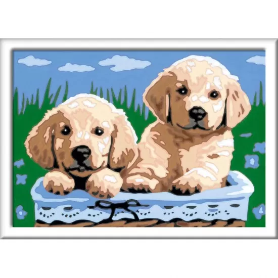 Pictura pe numere catelusi Ravensburger Pictura pe numere catelusi Ravensburger
